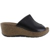 Adam's Flex Γυναικεία Mules Δέρμα 591-26002 Μαύρο Adam's Flex Γυναικεία Mules Δέρμα 591-26002 Μαύρο