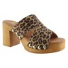 Marila Γυναικεία Mules Δέρμα 748-25010 Leopard